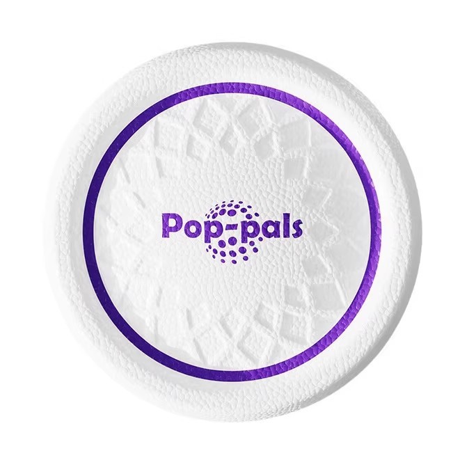 Flying Disc Dog Training Toy - لعبة طبق طائر للكلاب، فريزي من