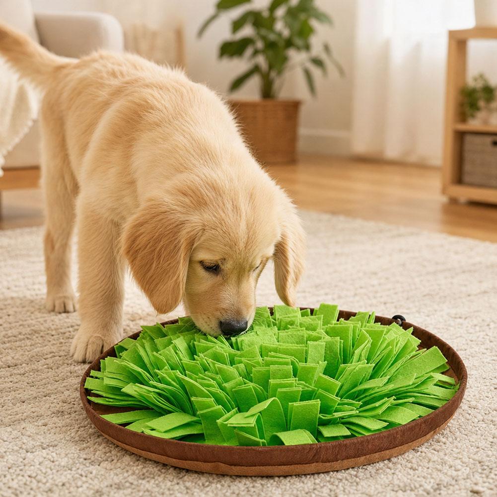 حصيرة تدريب للكلاب، لعبة تفاعل - مراجعة Dog Puzzle Feeder Toy وسعره