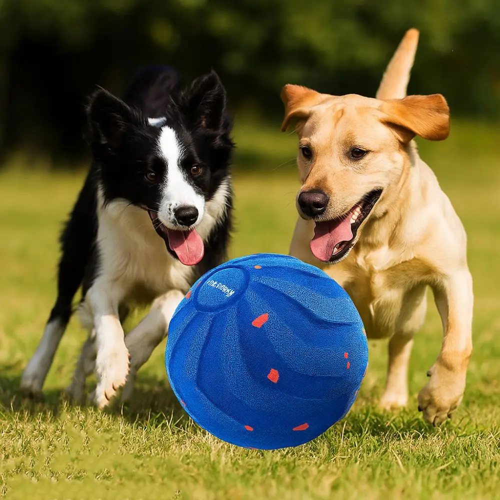كرة لعبة ذكية للكلاب مقاومة لل - مراجعة Automatic Moving Dog Ball وسعره