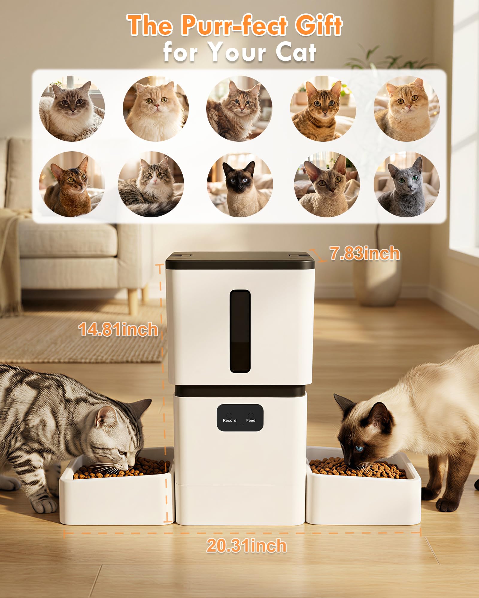 موزع طعام أوتوماتيكي ذكي للحيو - مراجعة Pet Feeders وسعره
